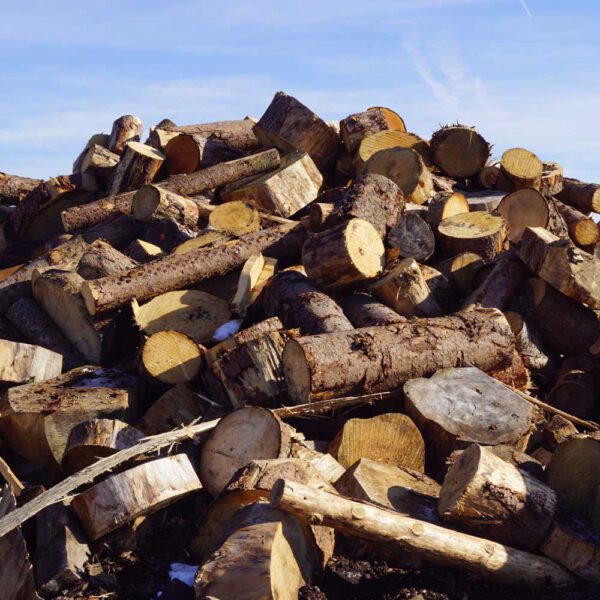 Brennholz